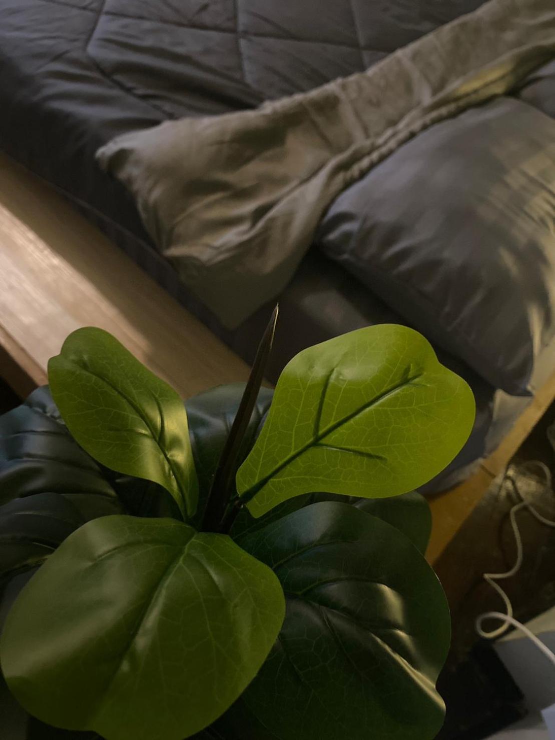 Rhythm Of Life Guesthouse 56 Бангкок Экстерьер фото